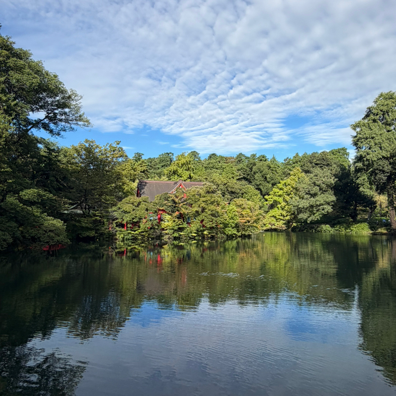 朝ラン27℃。台風の爪痕残る井の頭公園と今どきのチャイルドシートと佐川さんからの手紙と嫁。#1990