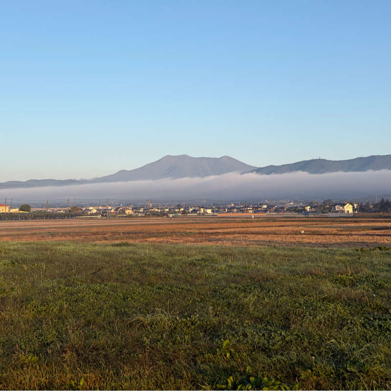朝ラン10℃。サンポジョシを追い越すワープ航法とエネオスジョシ探しと金曜日とお便りの続き。#2007