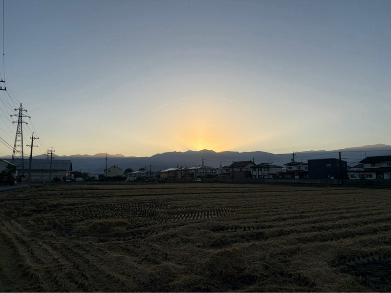 朝ラン11℃。この冬最大の冷え込みと早く感じる1週間と人としての振舞いとゾンビーズの未来。#2012