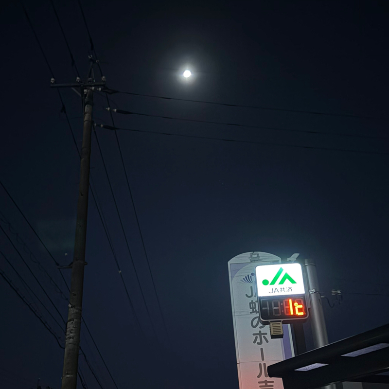 朝ラン3℃。最低気温の更新とヒルクライムの走り方と美人ジャズシンガーと拘束された新聞記者。#2024