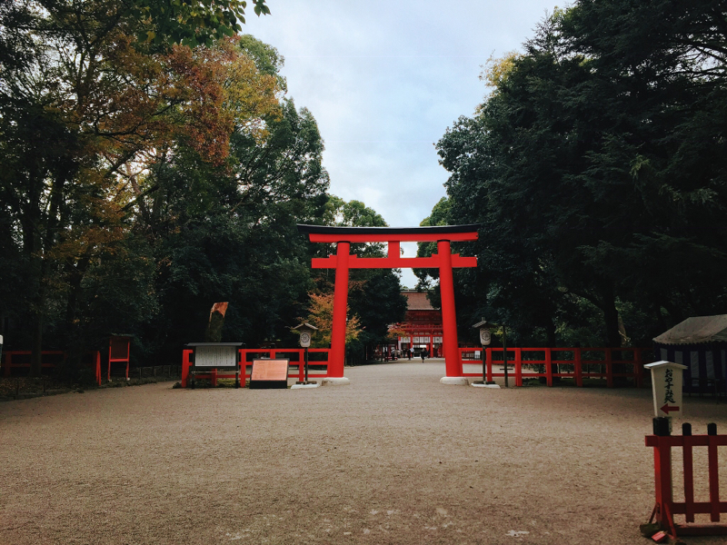 2 下鴨神社がめっちゃいい