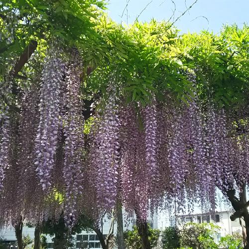 FGO推しカプについて