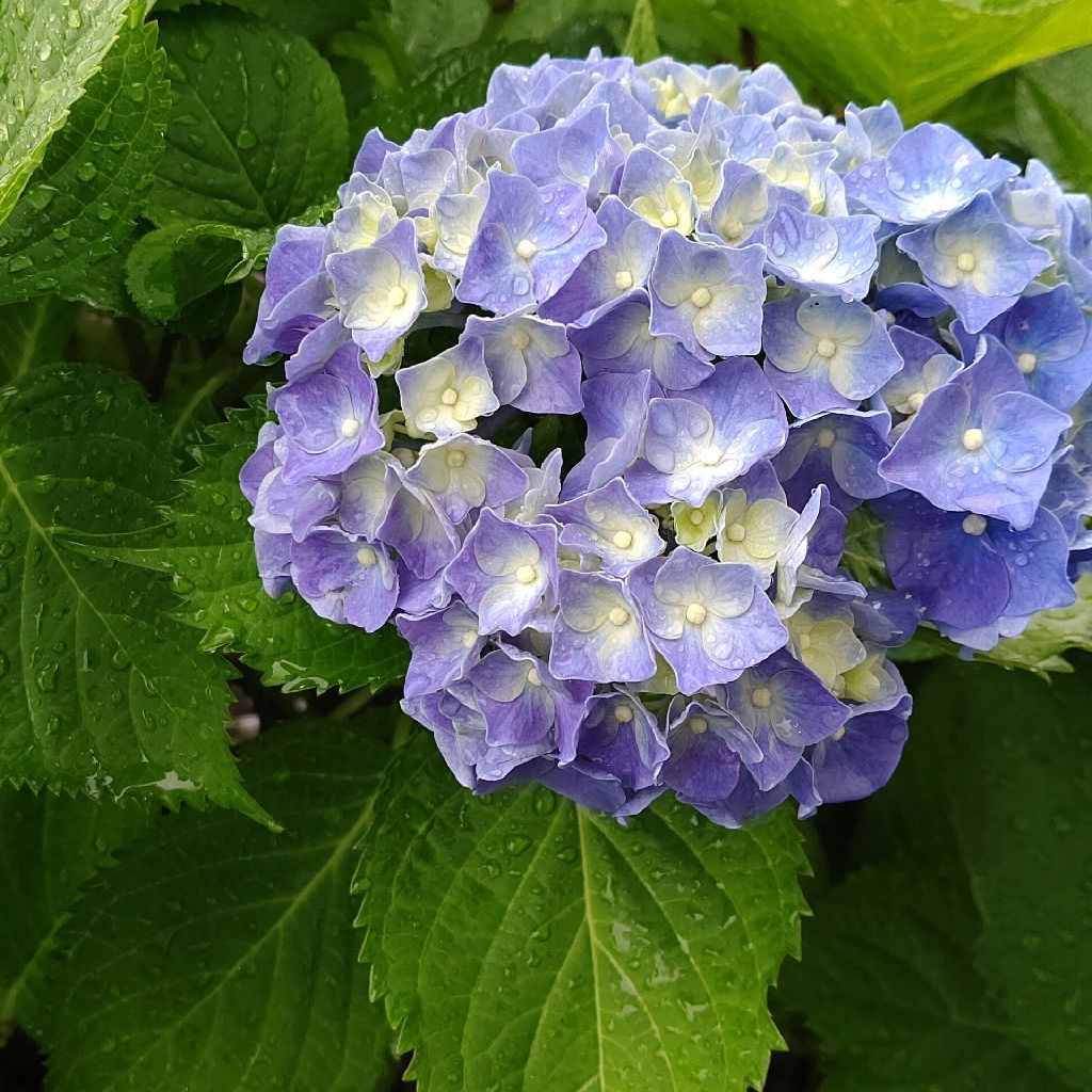 初めての投稿🥵