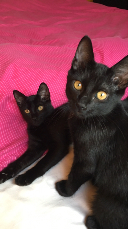 リスクヘッジはこれからは特に必須