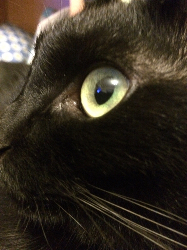 神アレ学パロのここがしんどい！！②