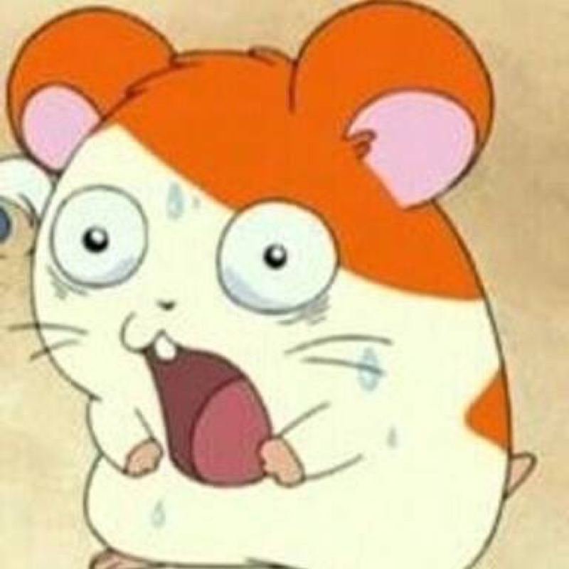 ここ最近のおはなし