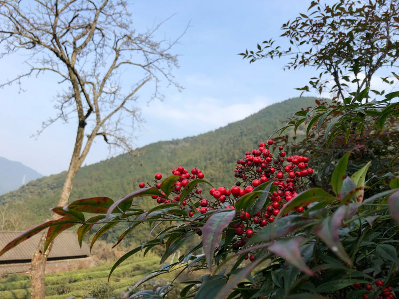 03 リベレーションズ2をやる