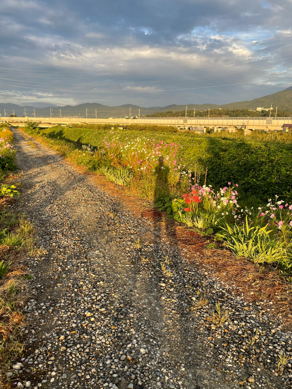 #93 カメラを持つと人が変わる⁉️