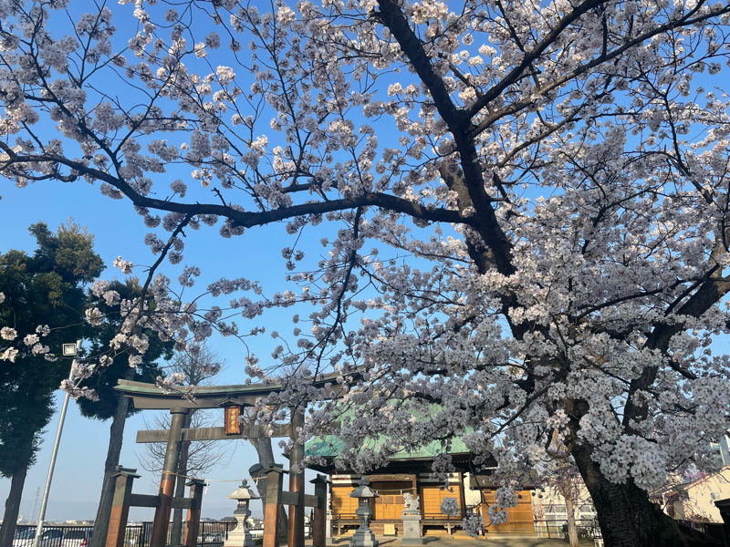 #154  本番五日前に想ふこと