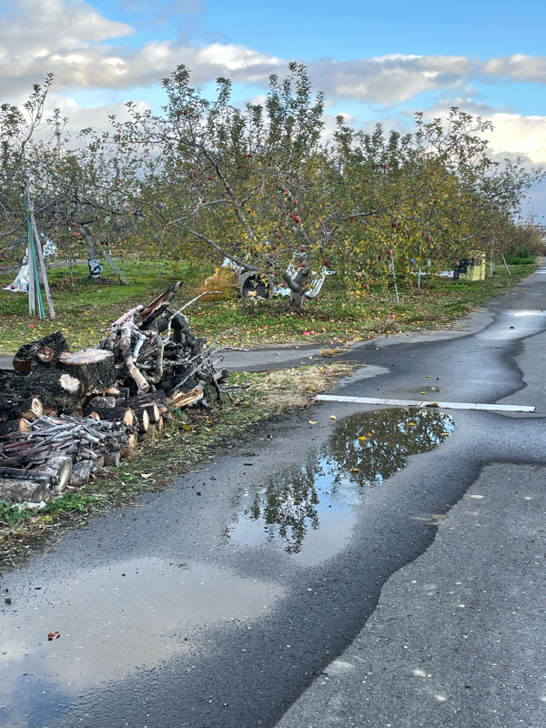 #212 テレビ欄の謎とお便りのご紹介〜