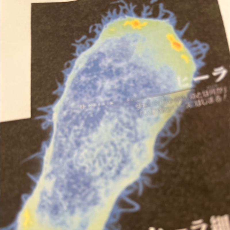 #70 繊細なる私たちのボディやハートを感じる