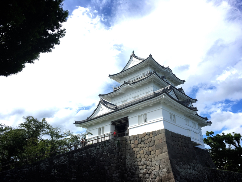 水着とおだわらのはなし。