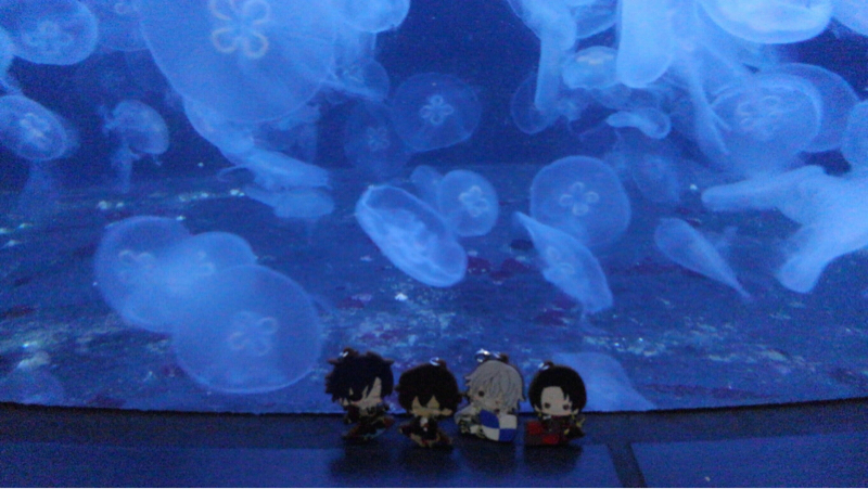 ゆるっとお試し