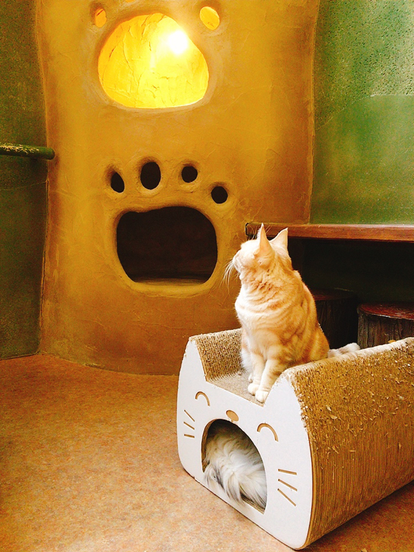 そおの徒然草子 