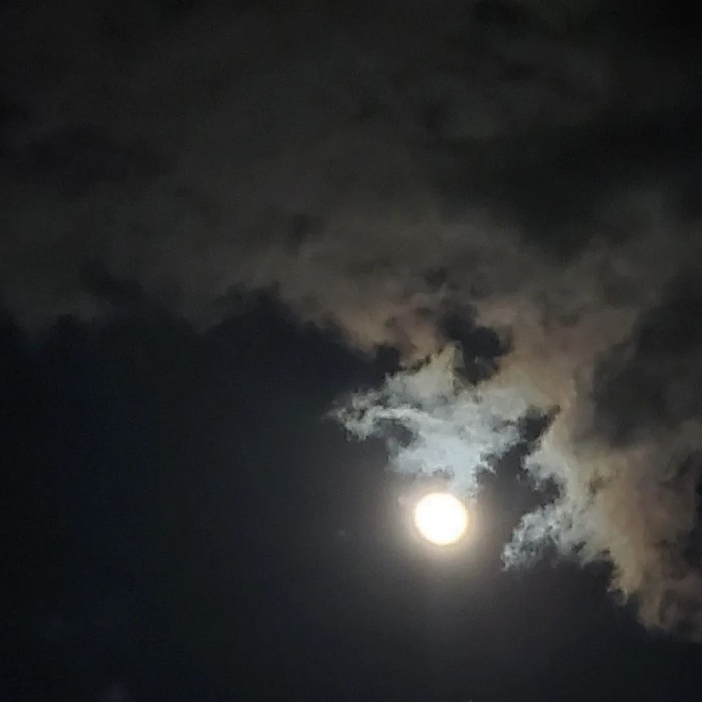 20220911 お便りの紹介