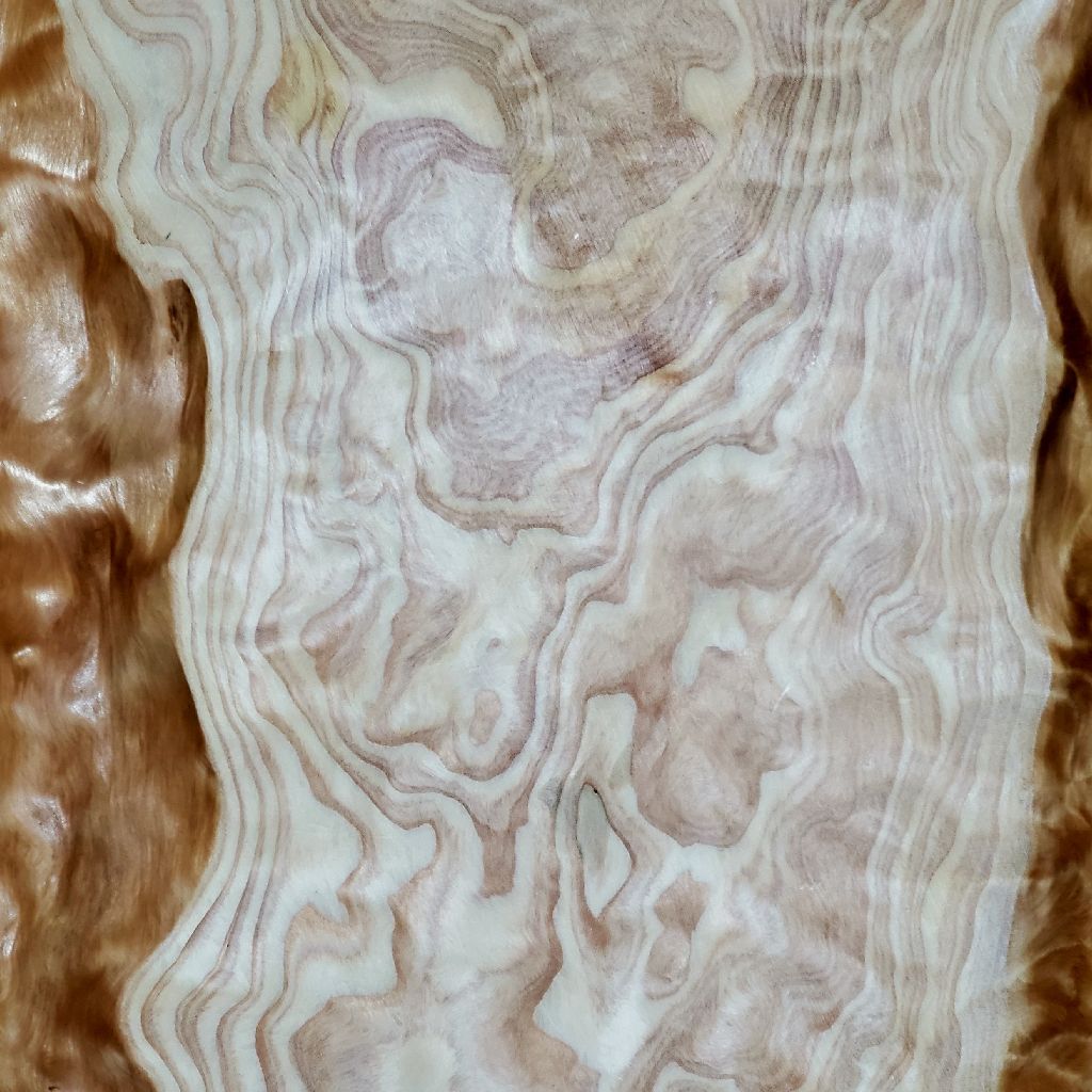 20221003 情熱（青い月）／hyh【ギター追加音源】