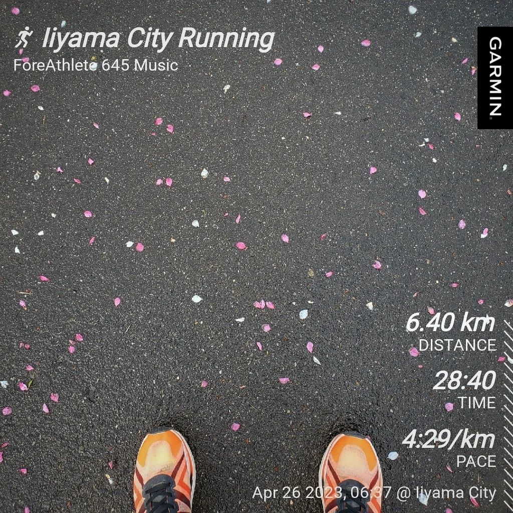 20230426 英雄にあこがれて②／THE BLUE HEARTS