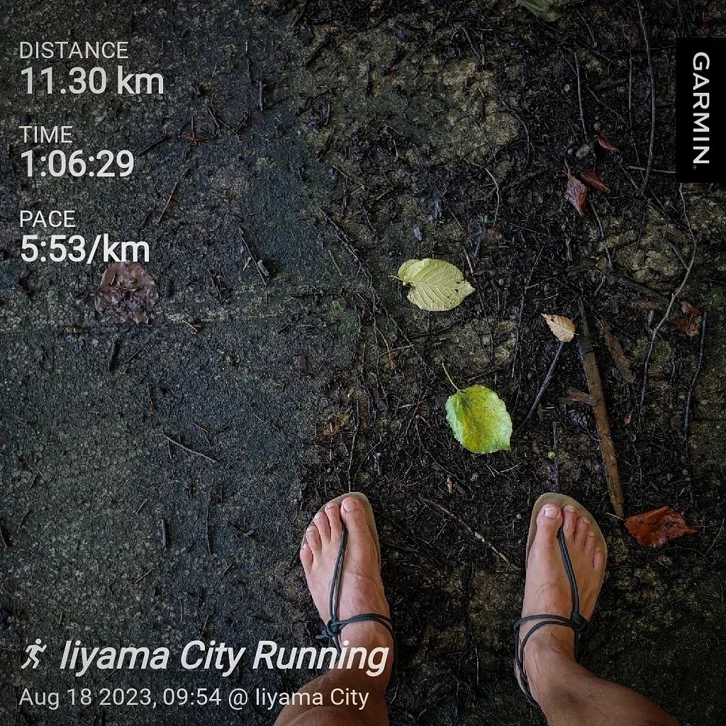 20230818 今日は何曜日？