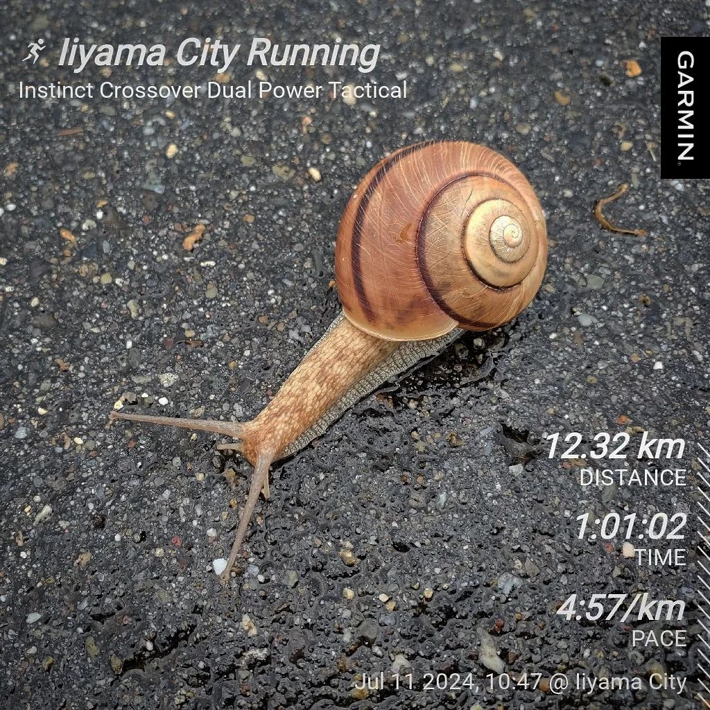 20240711 素敵な告白と高負荷トレーニングの話