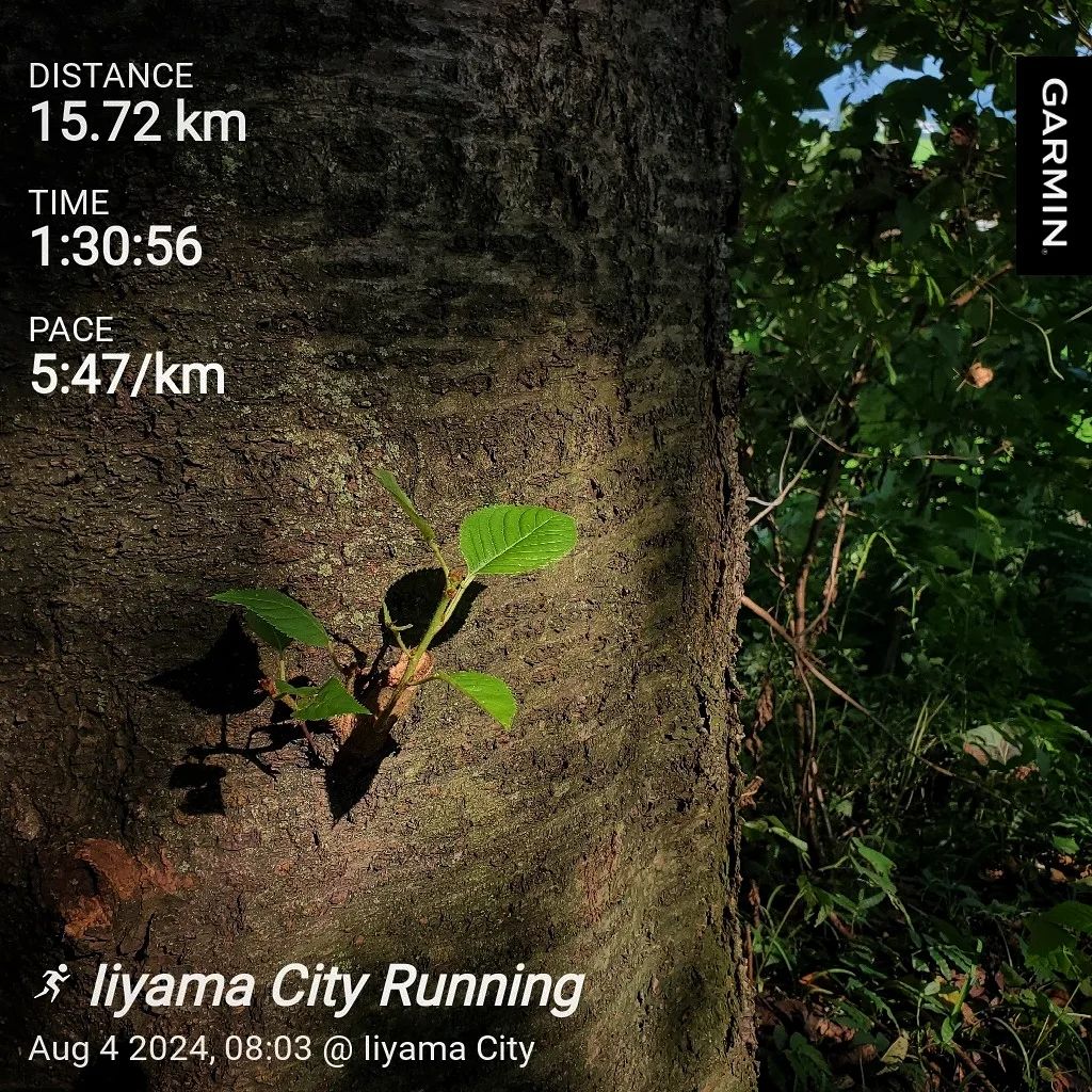 20240804 お墓掃除と昨日のランニングで出会った人の話