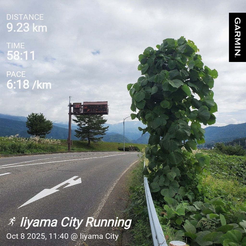 20251008 お返しトーク5本