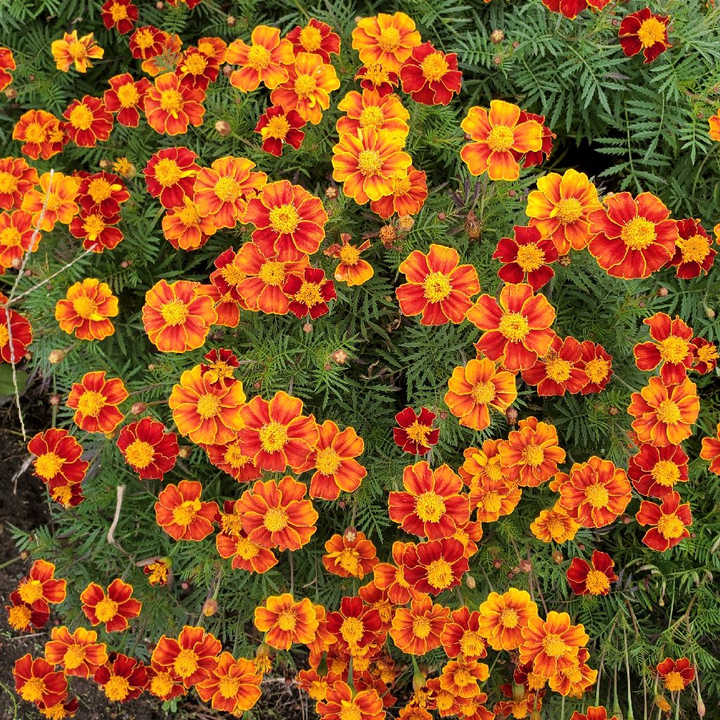 20251031 ロングランにオススメのラジオトークの聴き方