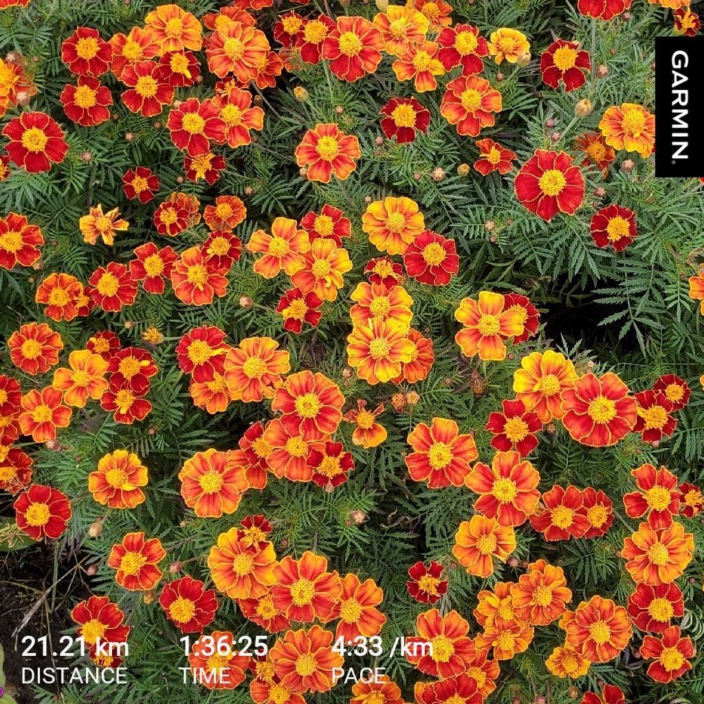 20251031 ロングランにオススメのラジオトークの聴き方