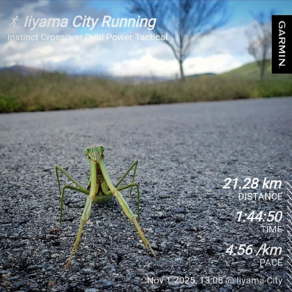 20251101 歩活の話とお返しトーク6本