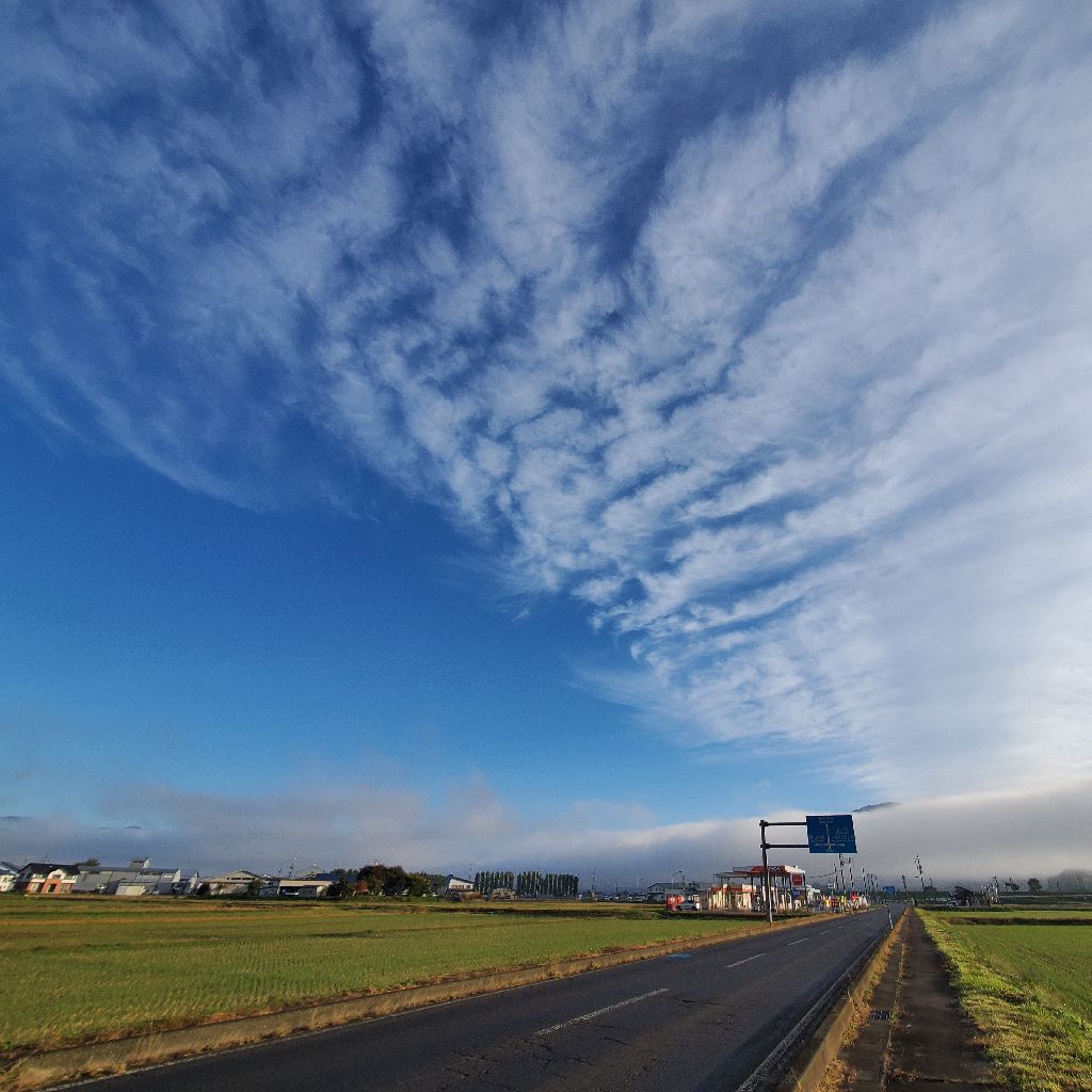 20251102 マジックスピード4で実験