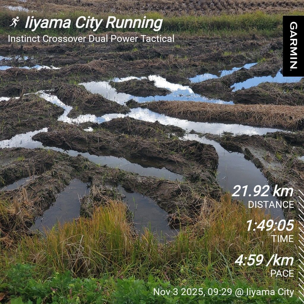 20251103 雨降りラジランでオススメのアルバム紹介と🎁ギフトの紹介