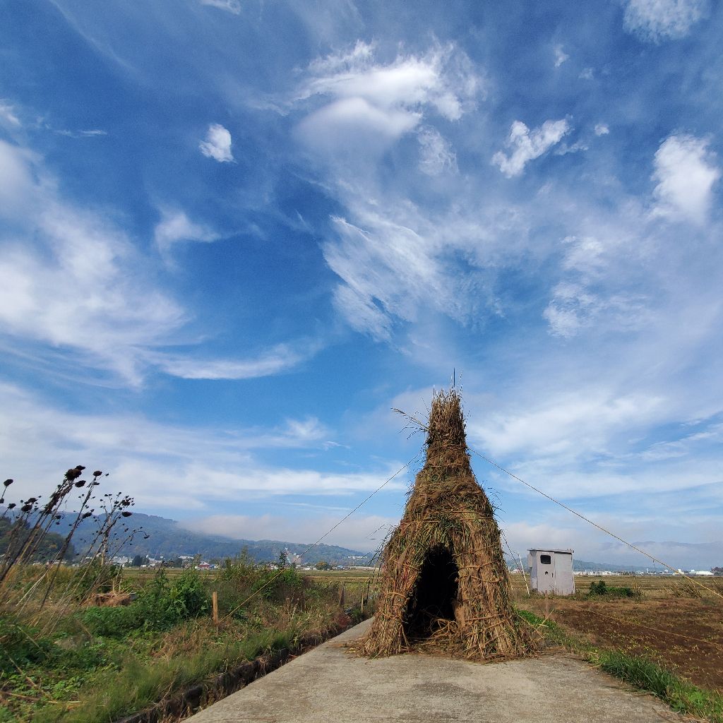 20251105 hyh、〇〇愛について熱く語る