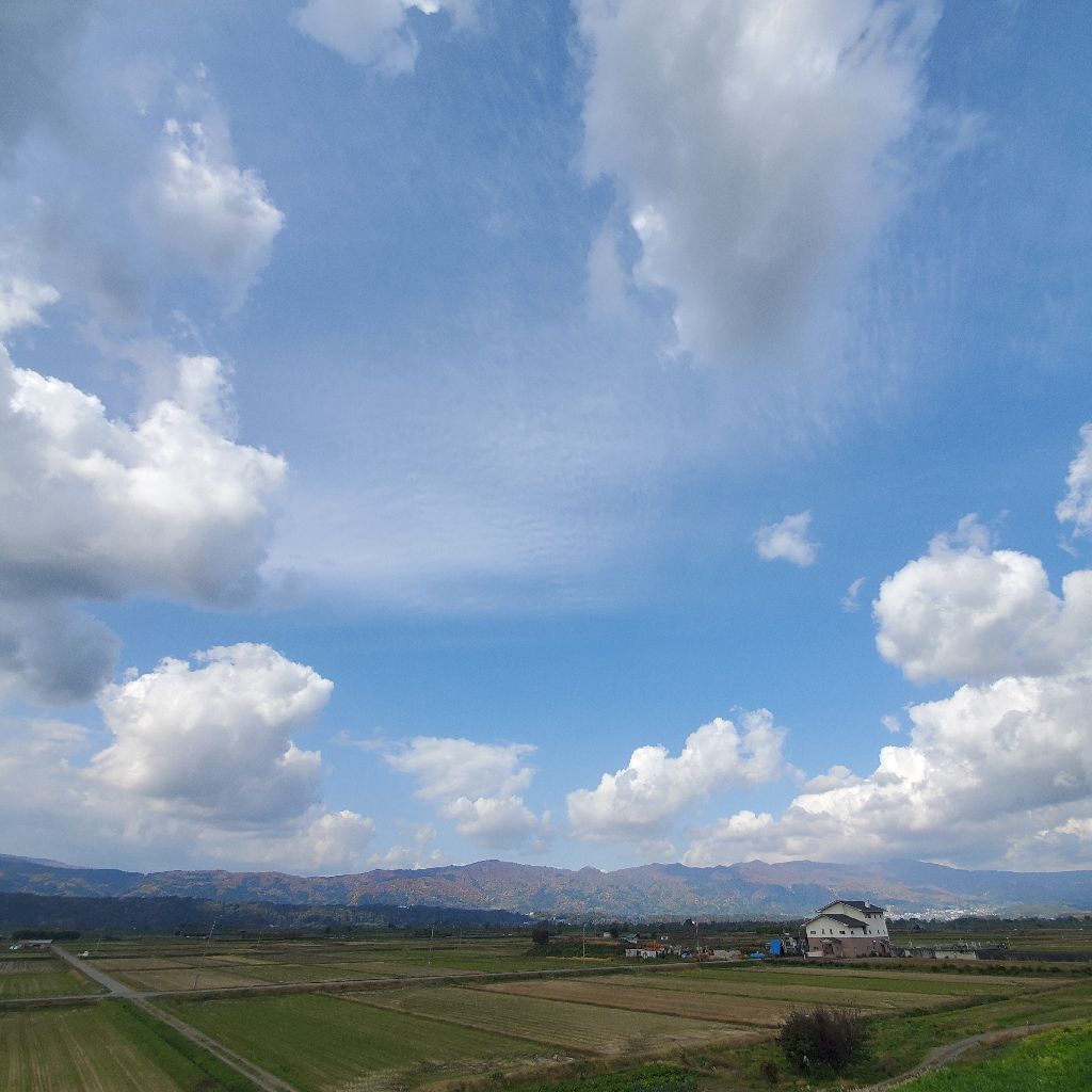 20251107 hyhが好きな名言の紹介