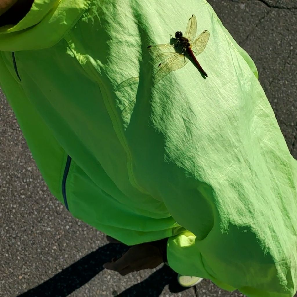 20281108 続・hyhが好きな名言の紹介