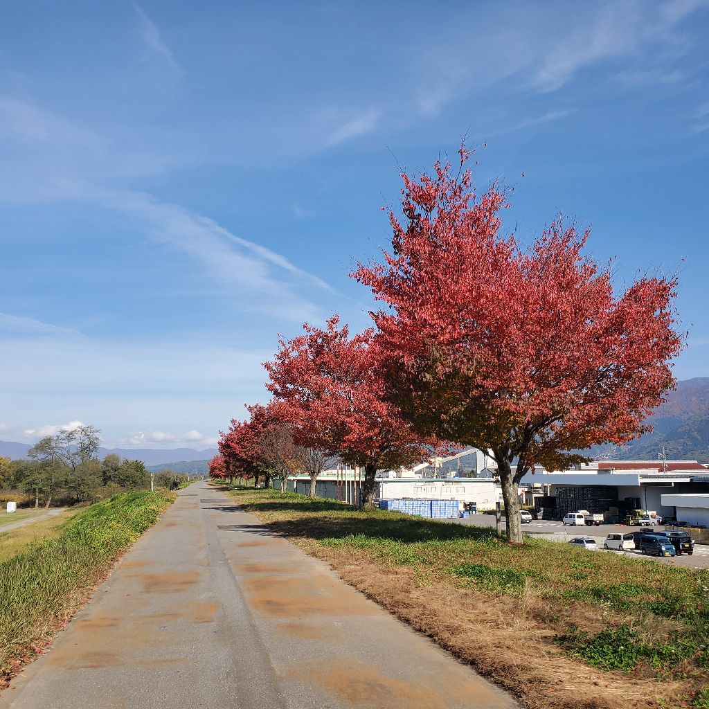 20251108 hyhが好きな名言の紹介③