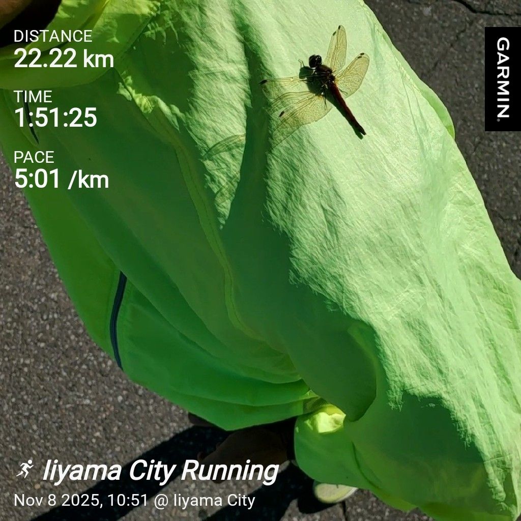 20251108 hyhが好きな名言の紹介②