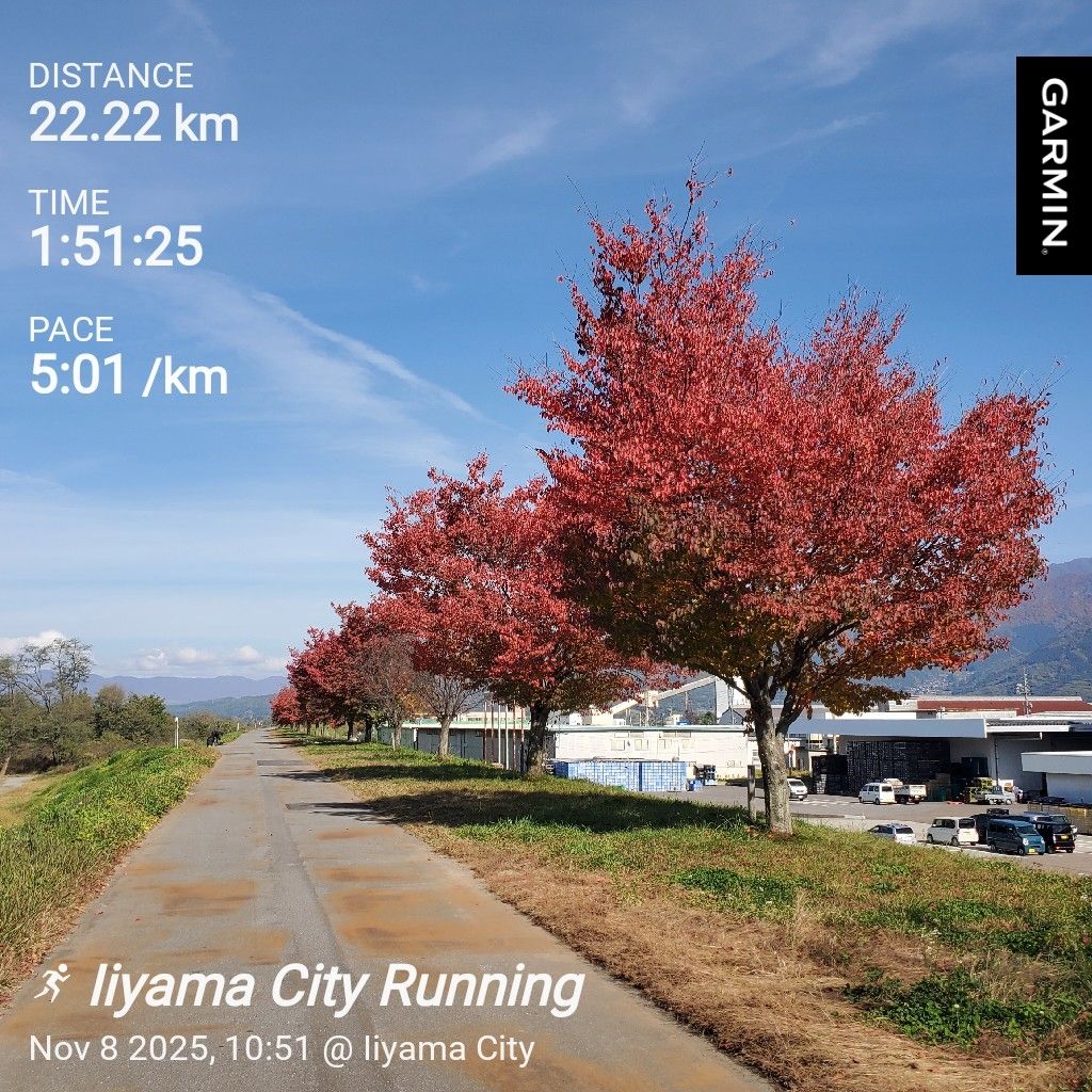 20251108 hyhが好きな名言の紹介③