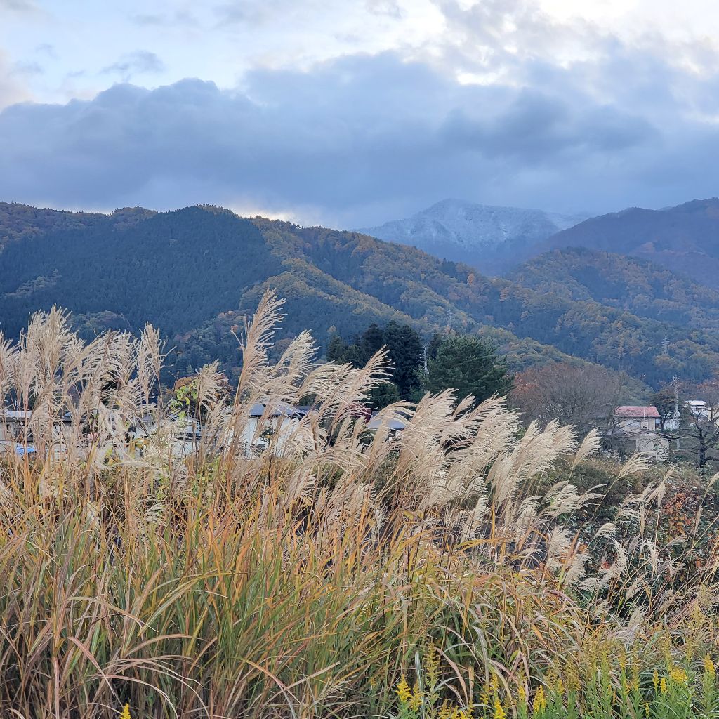 20251111 ポッキーの日もラジランでお返しトーク