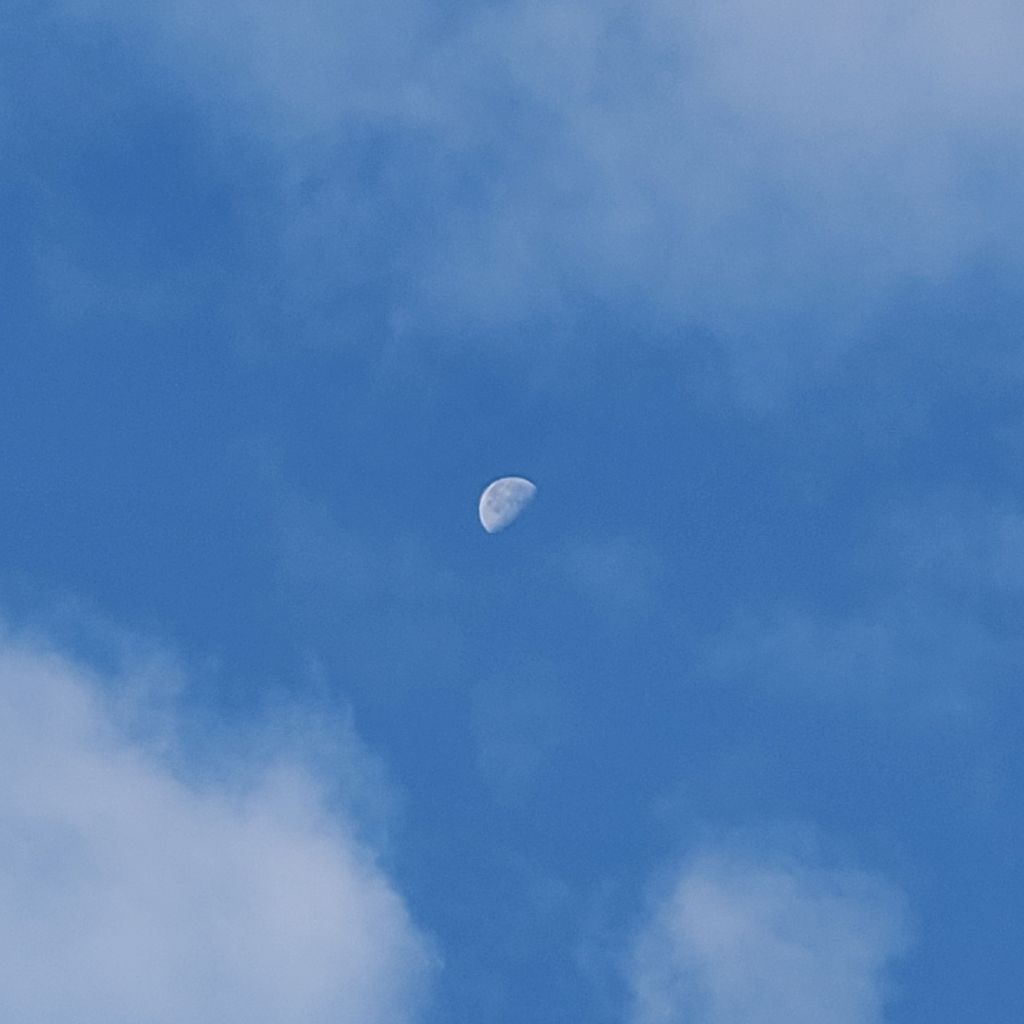 20251111 ポッキーの日もラジランでお返しトーク