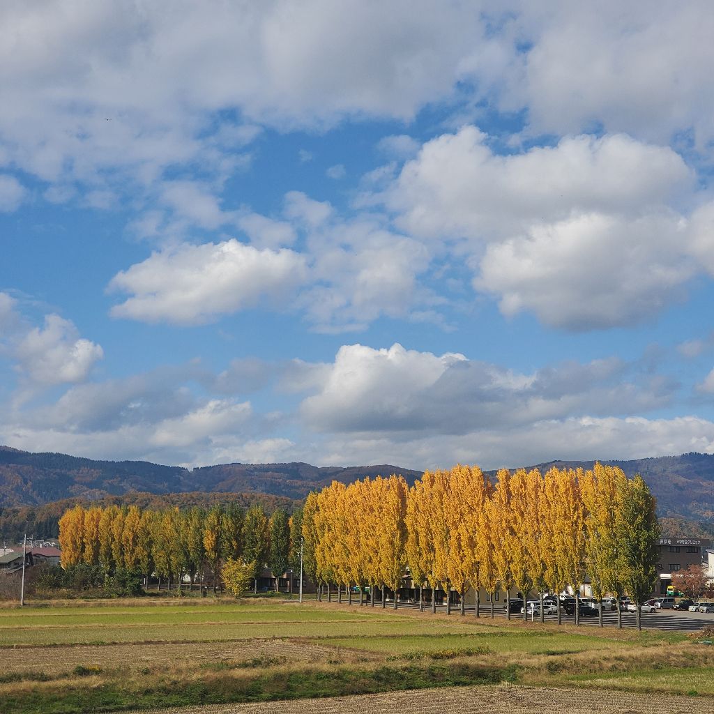 20251115 イイ声の日にどうでもいいhyhヘアースタイル情報