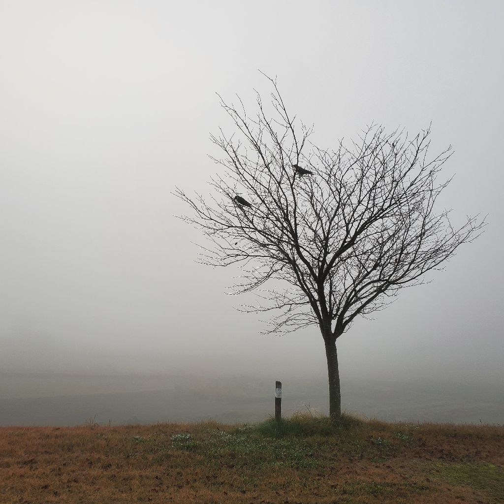 20251116 収録の日は氷点下のラジラン