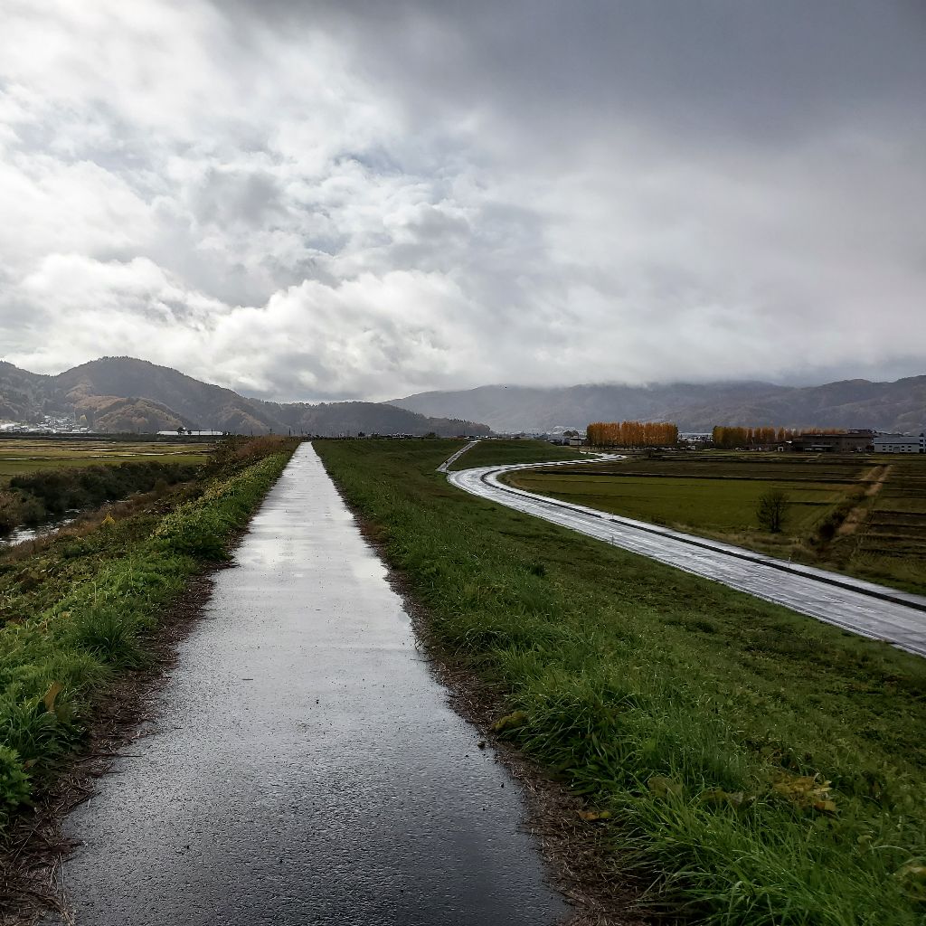 20251118 妻からのお便りの紹介