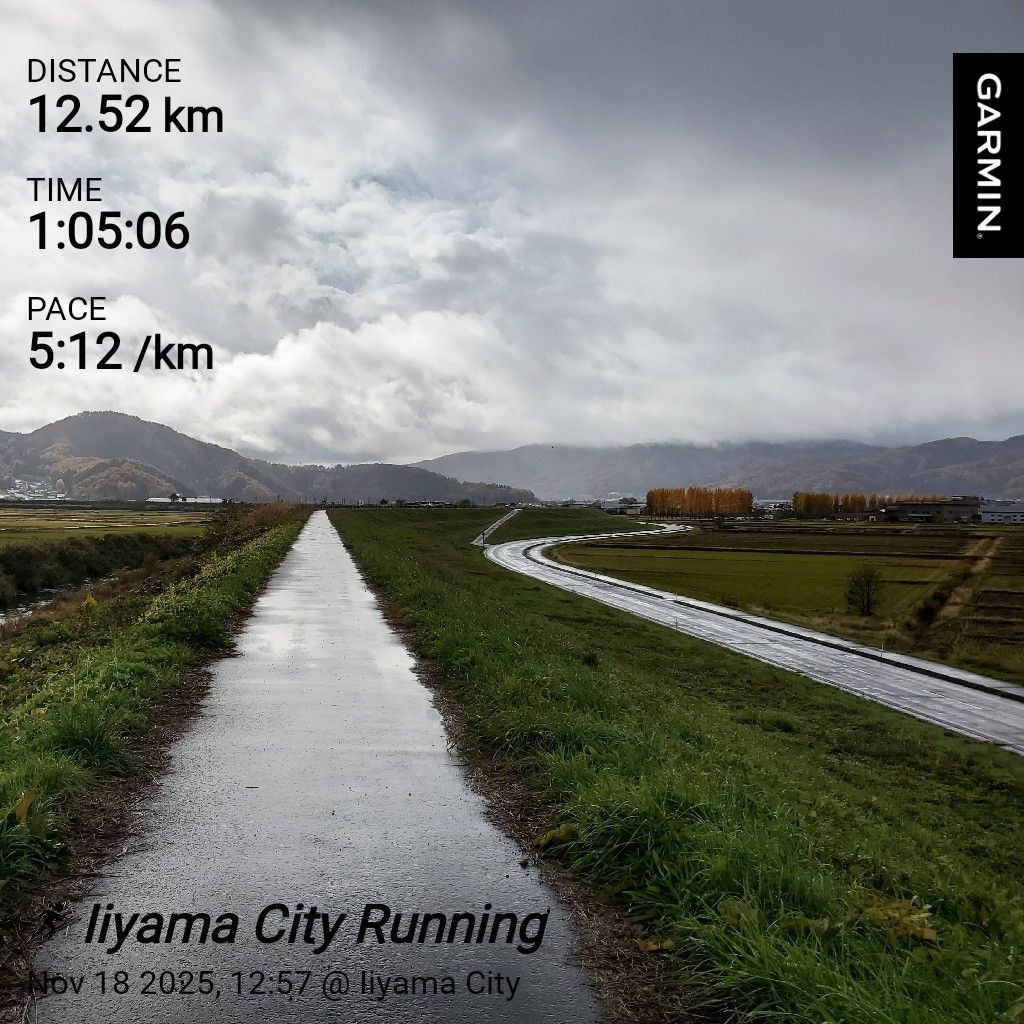 20251118 妻からのお便りの紹介