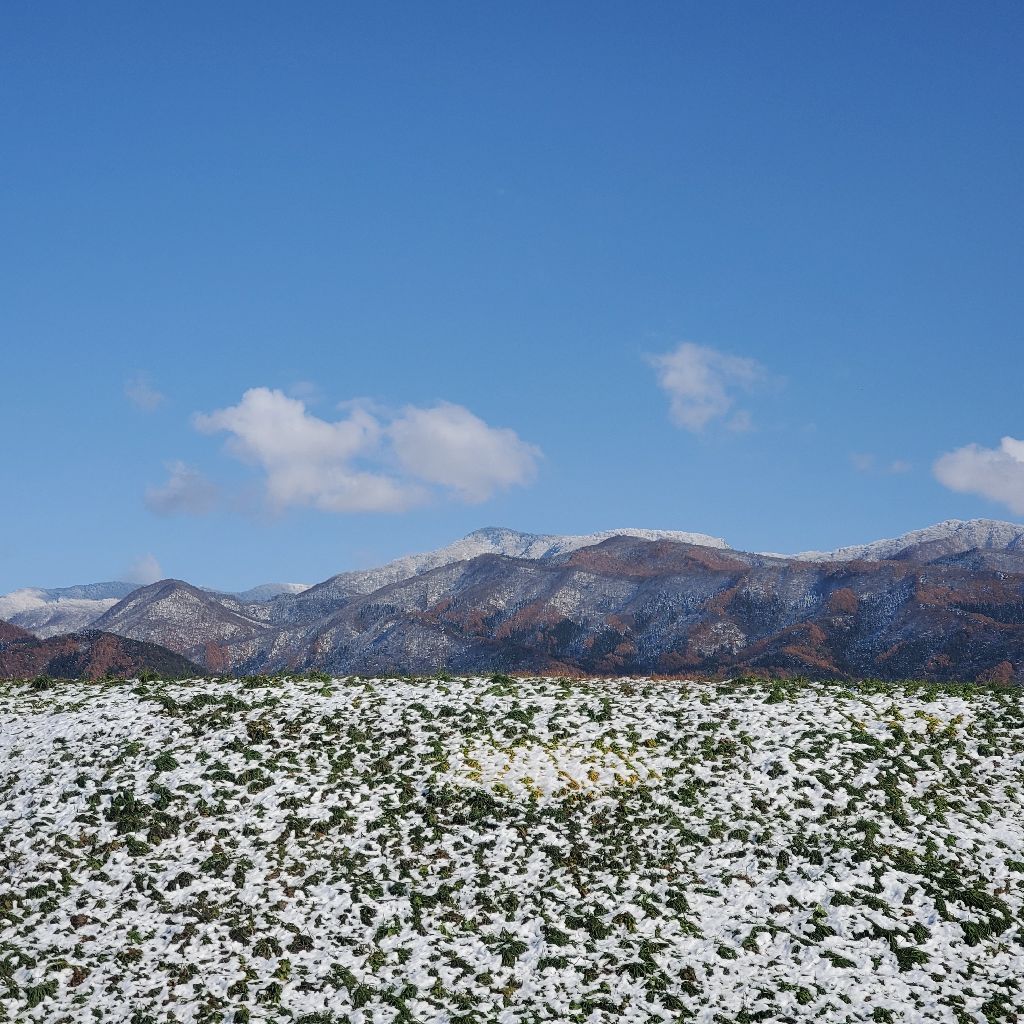 20251119 浮気しているかが分かる方法
