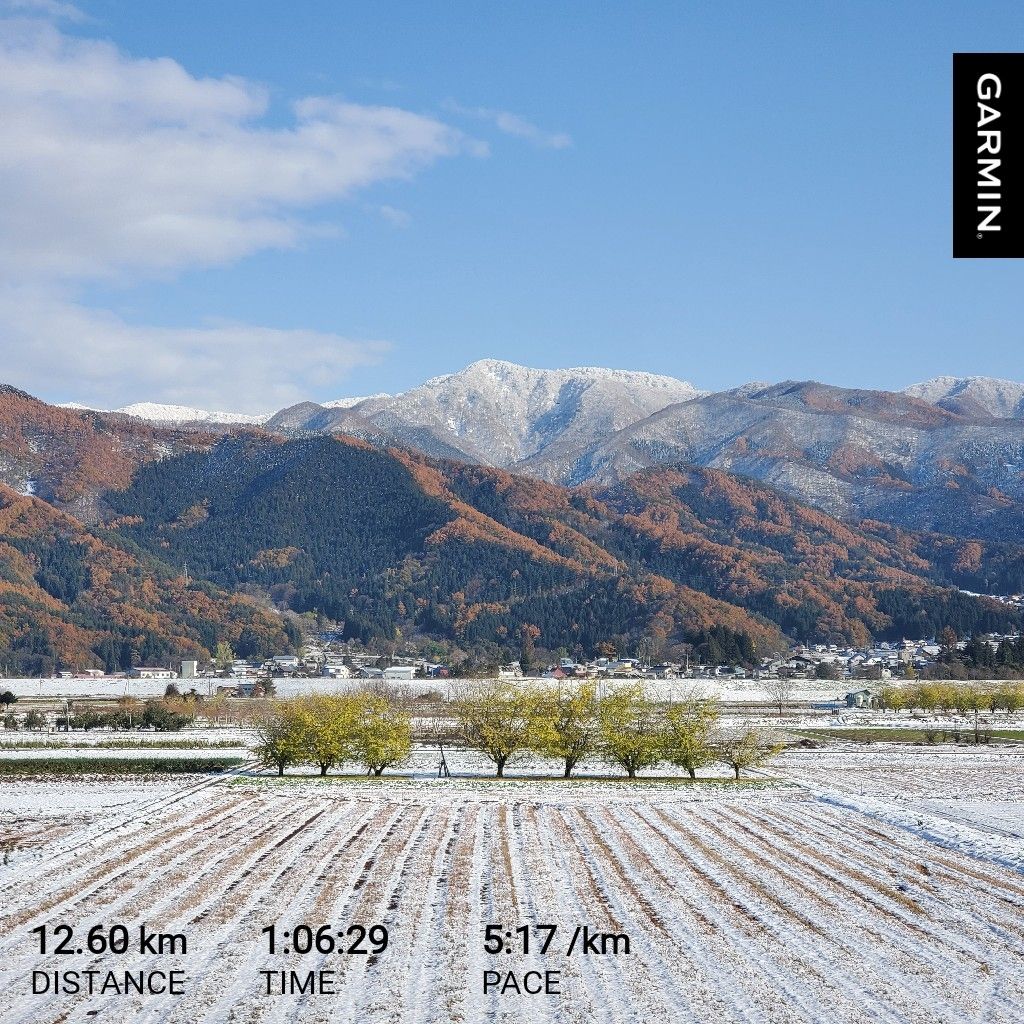 20251119 浮気しているかが分かる方法