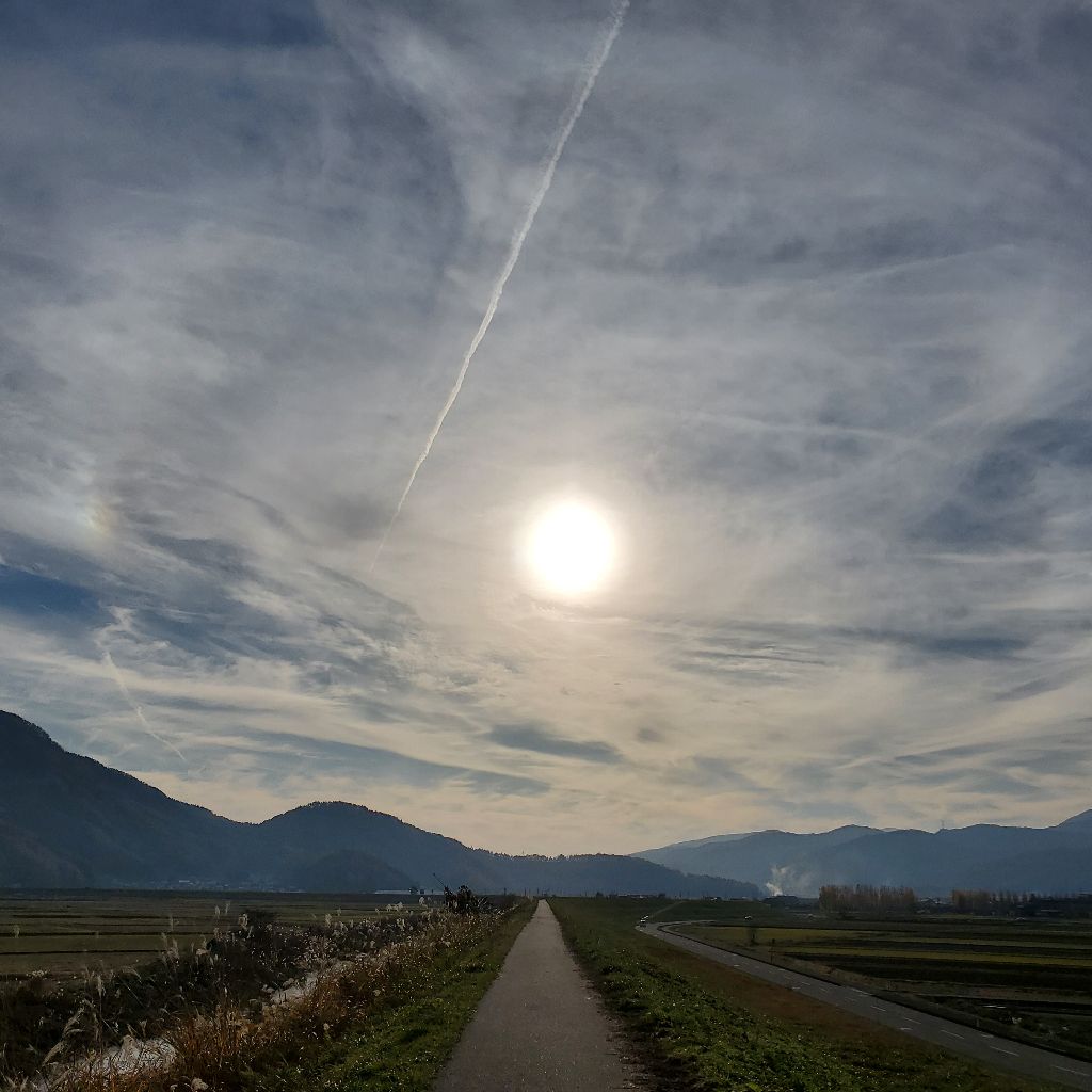 20251123 24時間を有効に使わない男hyhの話