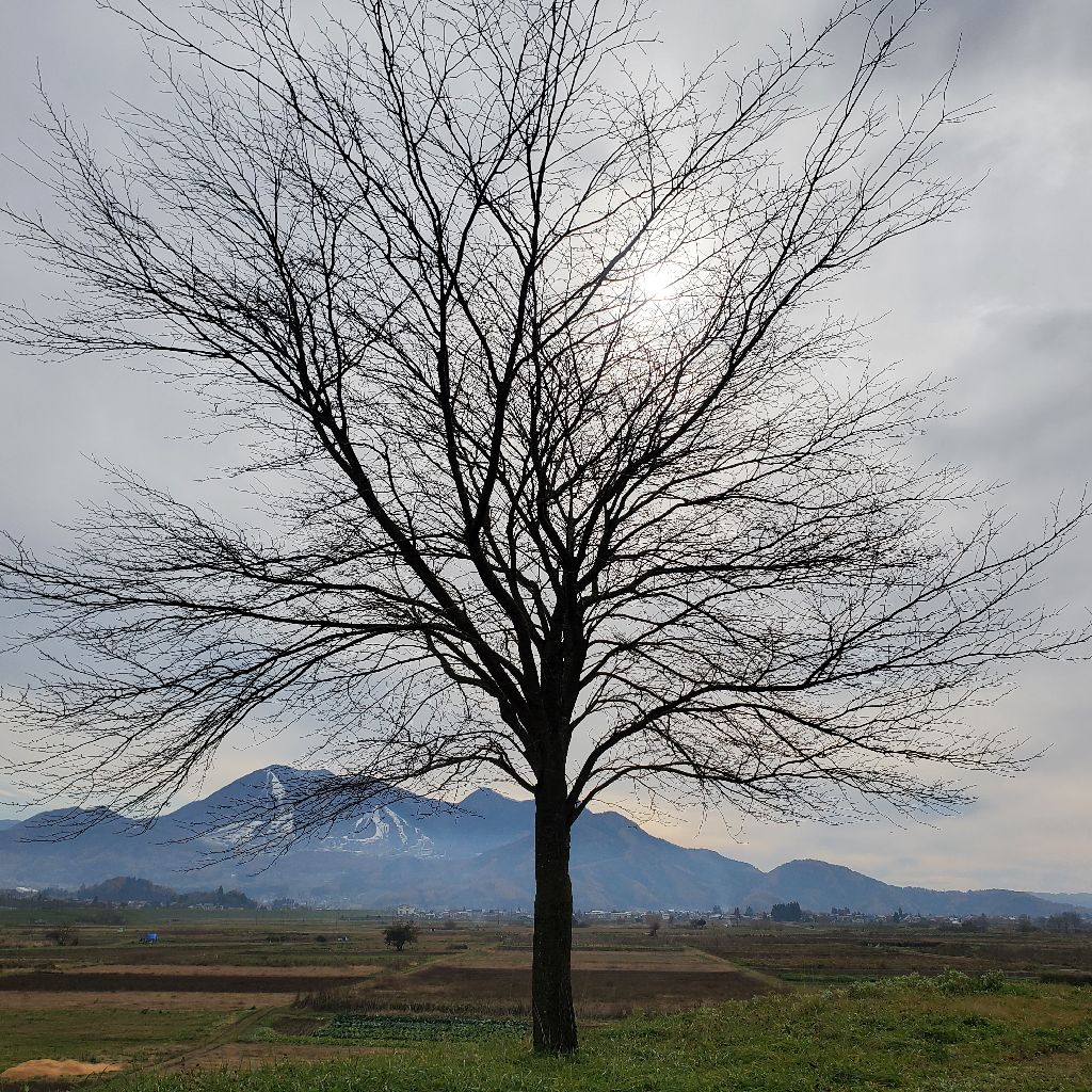 20251124 【座右の銘】飲みすぎたのはヒロシの自己責任