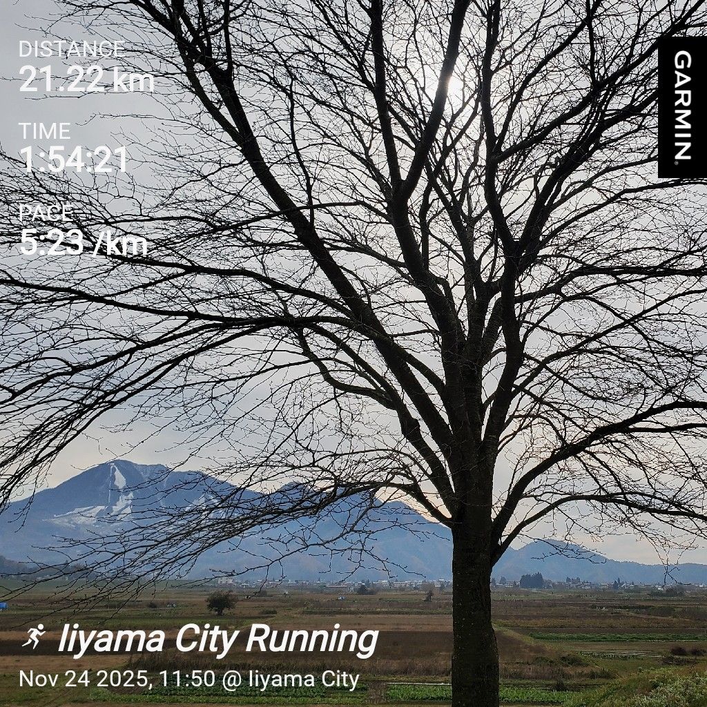 20251124 【座右の銘】飲みすぎたのはヒロシの自己責任