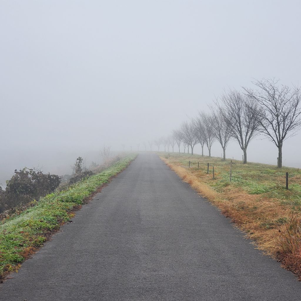 20251125 三連休終了のお知らせ🥺
