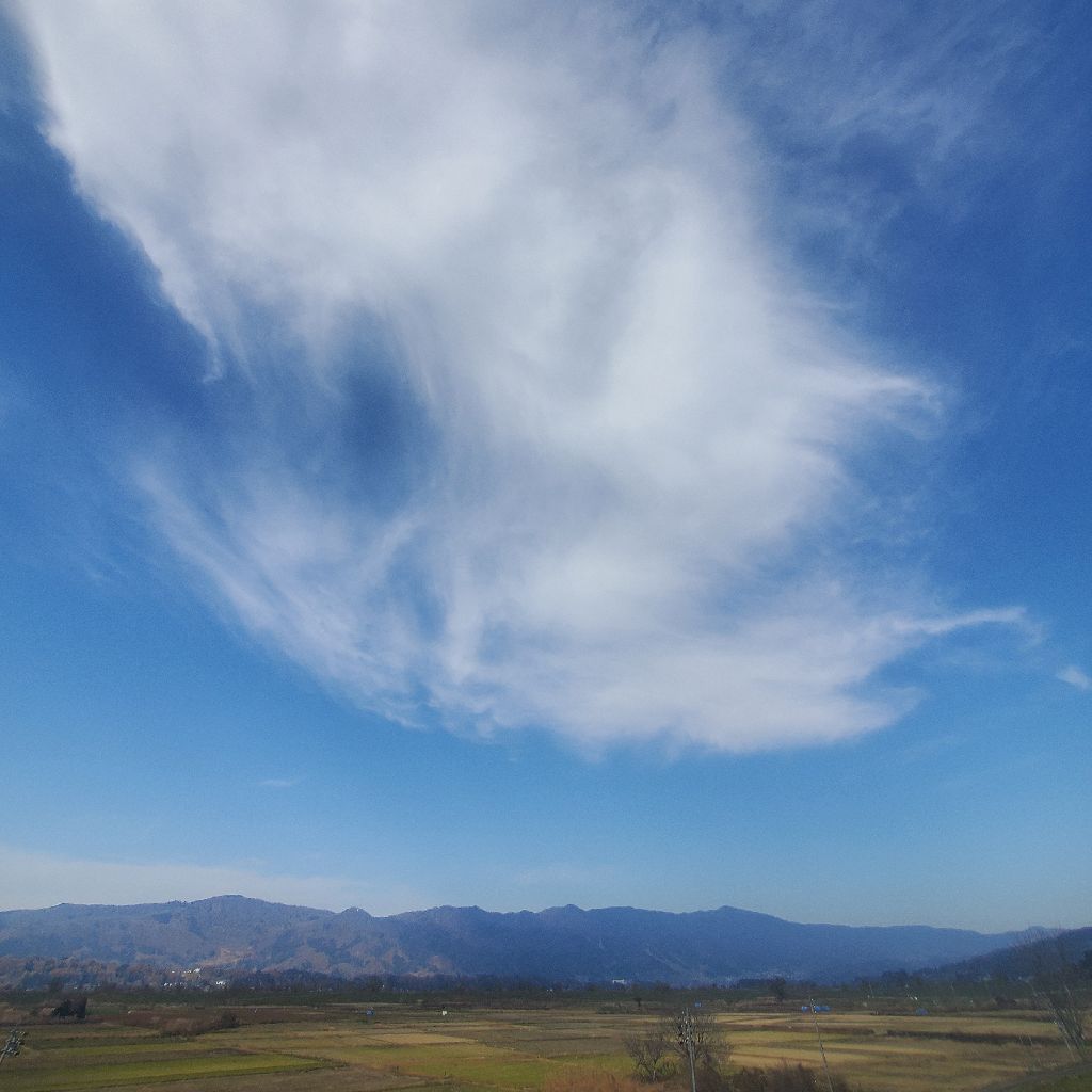 20251202 hyh妻登場の伝説の収録＆ライブとアップデートの話