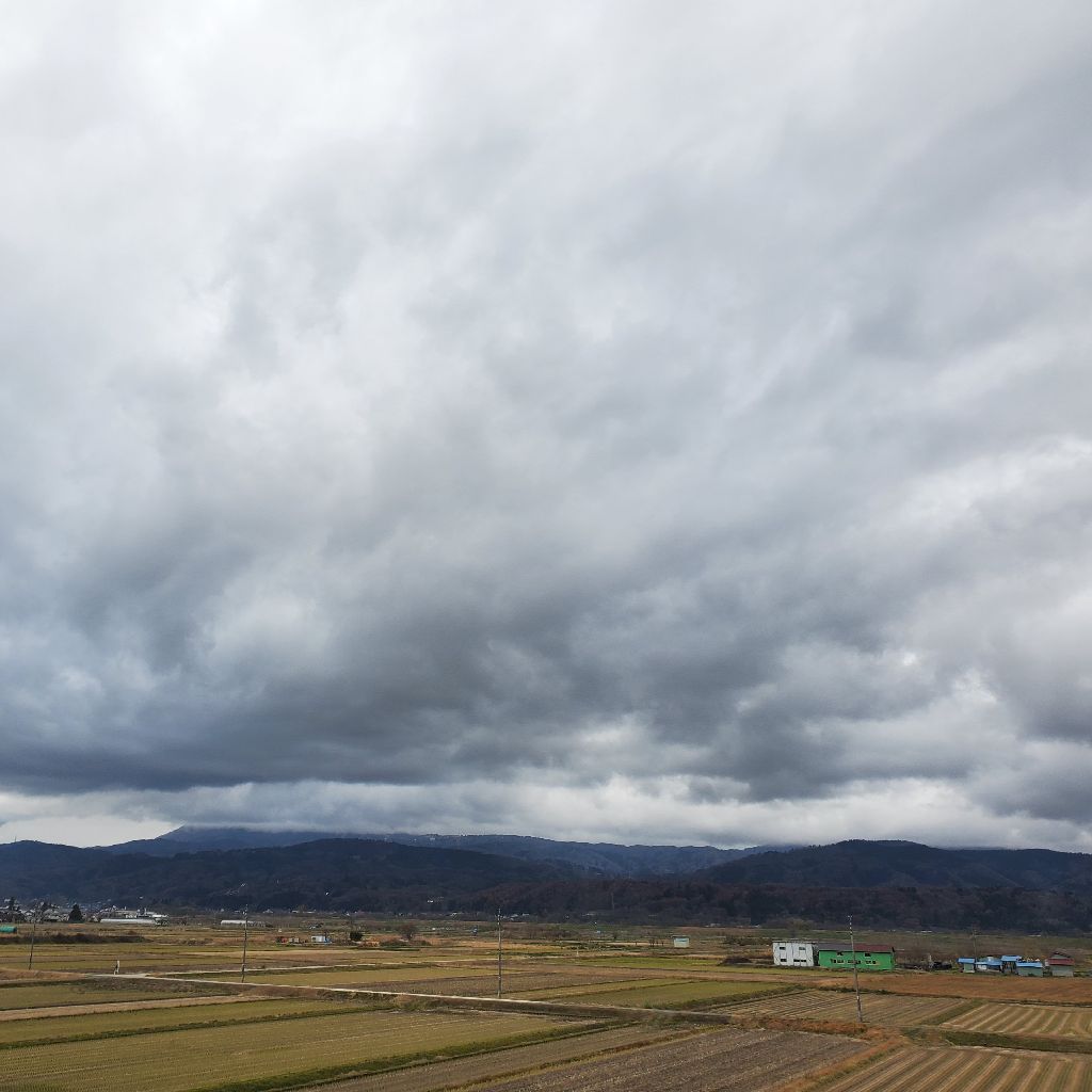 20251203 ③ミセスグリーンアップルのライブが良かった話